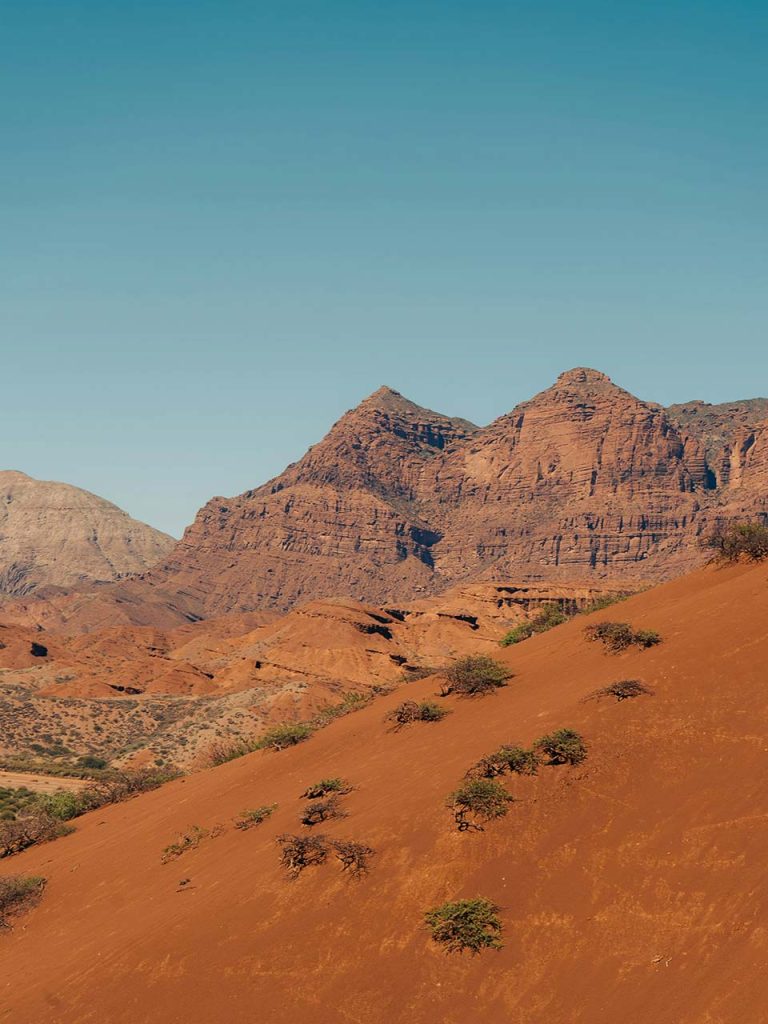 Salta
